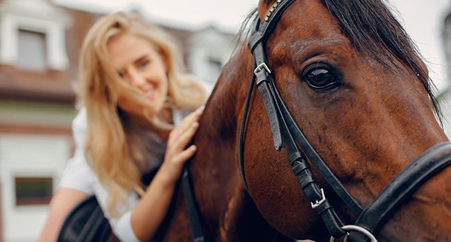 Пословицы и фразеологизмы о лошадях на польском языке